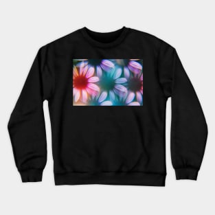 Echinacea flowers photographed through prism Crewneck Sweatshirt